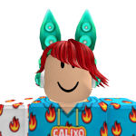 @ohaproo