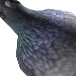 @Cool_KilledYou