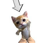 @roblox_user_769349297