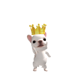 @19kloser004