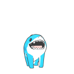 sharkdog
