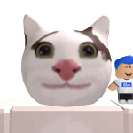 @roblox_user_1111118206