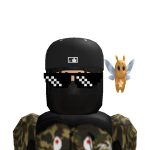 @roboxlangpo
