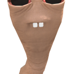 @aestiical