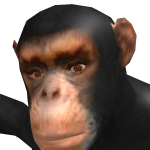 @dhcbigmanfam4