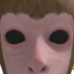 @souwu123xd
