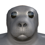 @HisBehBeh