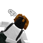 @roblox_user_1579136688