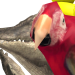 @Jco8o5