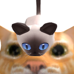 @vampirecat367