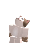 @liron1roblox