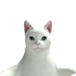 @fastcatt17