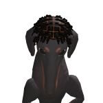 Cobrakai7882