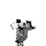 @Fnzreplayz2
