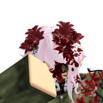 @POKERVAIS_mc
