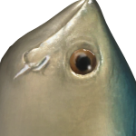 @Onion_Man8
