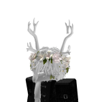 @Rasing4044