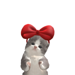@00NLYYISAA
