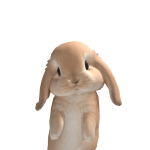 @mvshrcxm