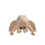 @C1L2a3r4a5h6