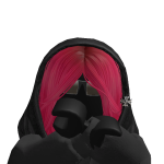 @LucidLolzz