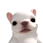 @KLM2528