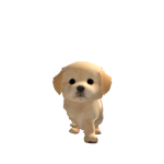 @l8rs8r