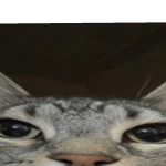 @AbsorbingJohn100