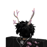 @rtxwhy
