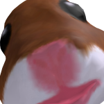 @robertalahamster