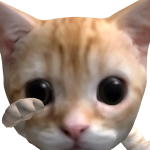 @NieXzzGamming