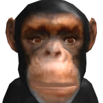 @haamisnotcool