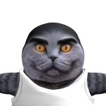 @supercardog5