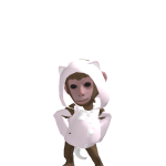 @xmerisch