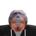@Memejack2010
