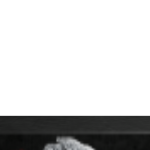@uhhhleonnn