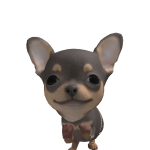 @puppy2435in