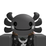 @roblox_user_2332478434