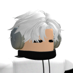 flasx12X