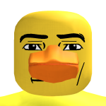 @DUCKSUNITED_HOLDER12