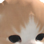 @moongi0202