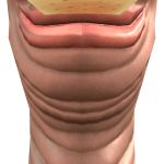 @ilanaasmr