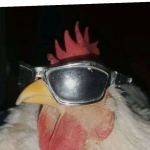 @EpicBirdL0v3r