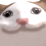 @kiwikao0513b