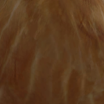@miglutecat