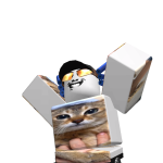 @coolishdestroyer