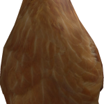 @larulka