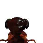 @ShrimpoZilla
