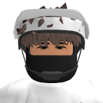 @Ninja_pj2