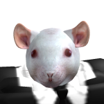 @ThereIsNitro